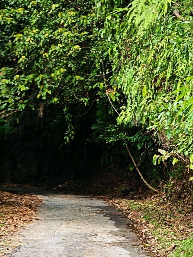 ⛰️ Bukit Kledang, Perak – Choose Your Trail, Choose Your Challenge!
