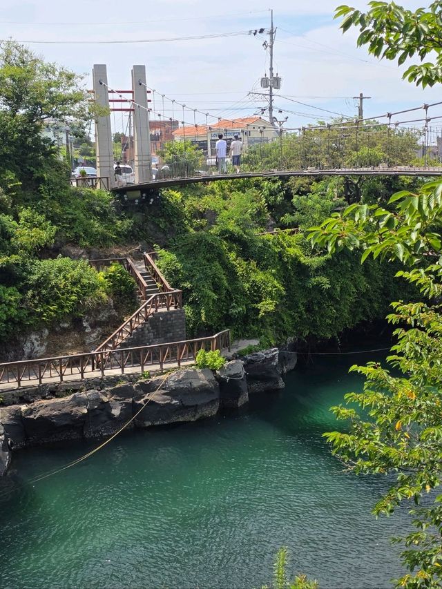 🌈 제주도 필수코스