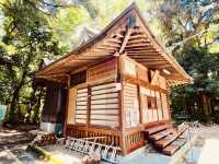 Hiratsuka's Hidden Summit: A Summer Morning Hike to Mt. Koma (駒ヶ岳)
