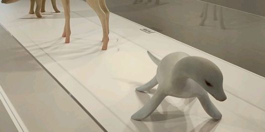 潔白神獸