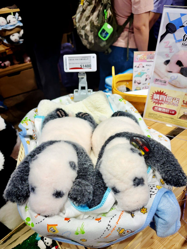 【黃竹坑】香港海洋公園：探訪大熊貓雙胞胎家姐細佬