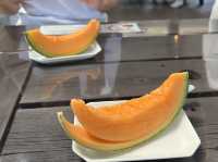 아사히카와 근교 여행 