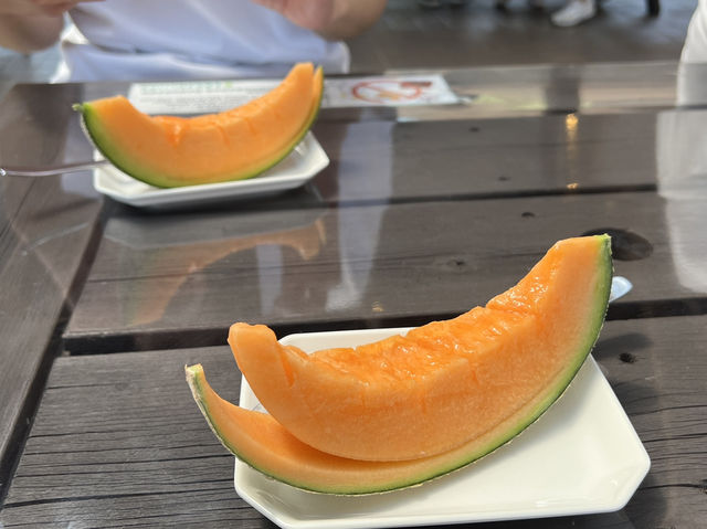 아사히카와 근교 여행 