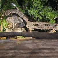 Living the Jungle Dream at Rock & Tree House Resort