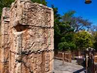 Discover Jungle Secrets at Lost River Delta!