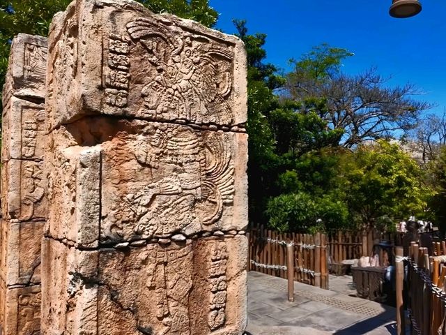 Discover Jungle Secrets at Lost River Delta!