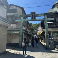 【江ノ島旅行】海を楽しみたい！🏖️