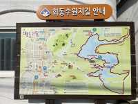 도심 속 힐링 숲길🌿 부산 회동수원지 공원 산책길