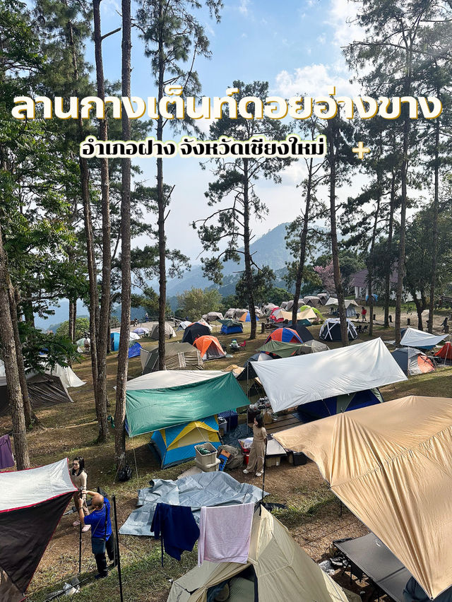 ลานกางเต็นท์ดอยอ่างขาง
