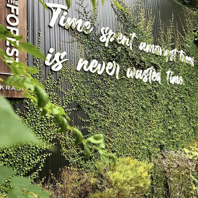 Into the Forest, กระบี่ คาเฟ่