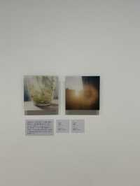 【東京・恵比寿】東京都写真美術館　トランスフィジカル