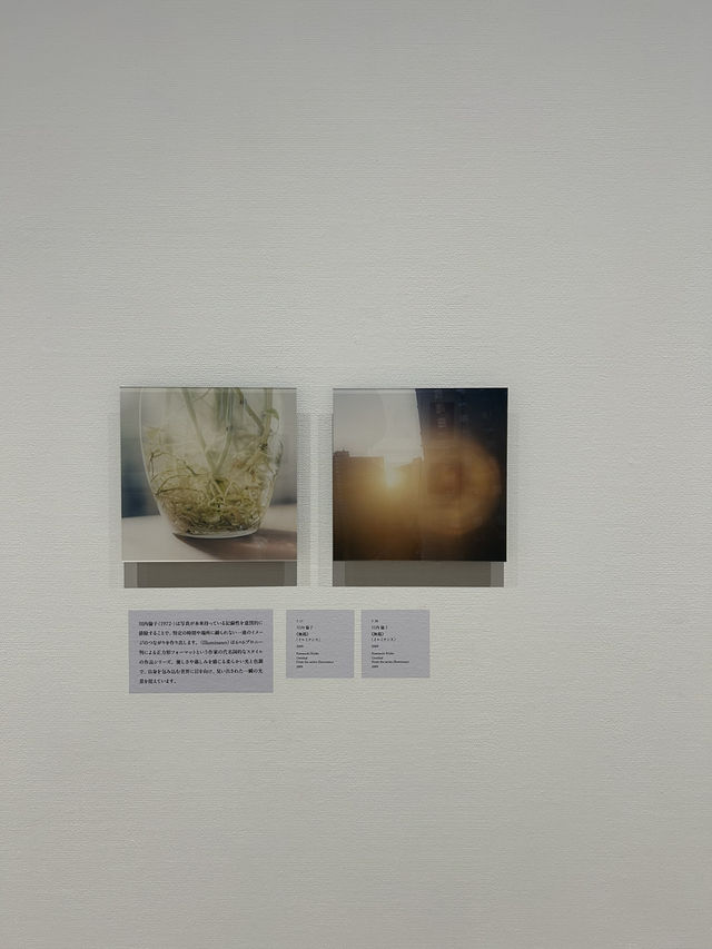 【東京・恵比寿】東京都写真美術館　トランスフィジカル