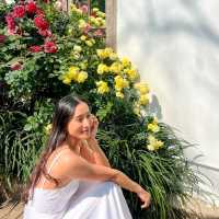 คาเฟ่สวนกุหลาบ