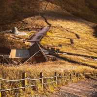 Ganwoljae Flame grass Road