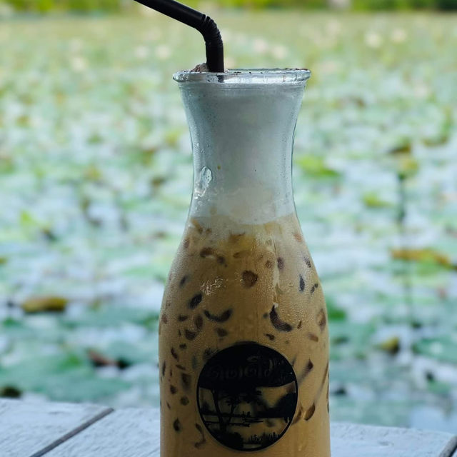 🌿☕ ดูดดื่ม คาเฟ่ นครชัยศรี คาเฟ่ริมบึงบัวขนาดใหญ่