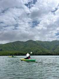 🌴【奄美大島】世界遺産のマングローブでカヌー🛶