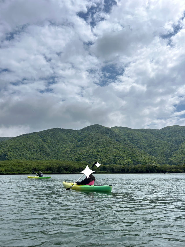 🌴【奄美大島】世界遺産のマングローブでカヌー🛶