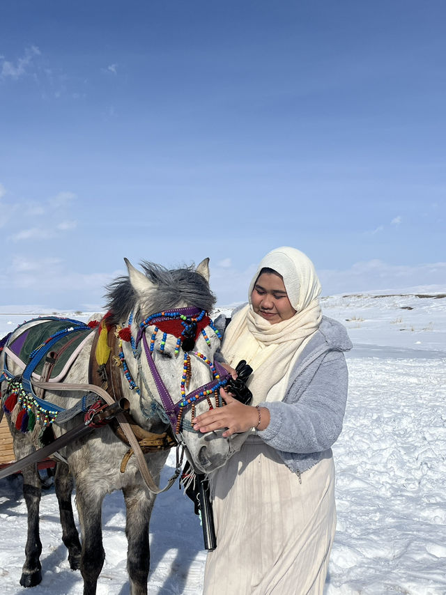 Winter Escape to Kars: Snow, Silence, and the Scenic Express