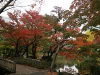 秋意盎然的都心秘境日比谷公園