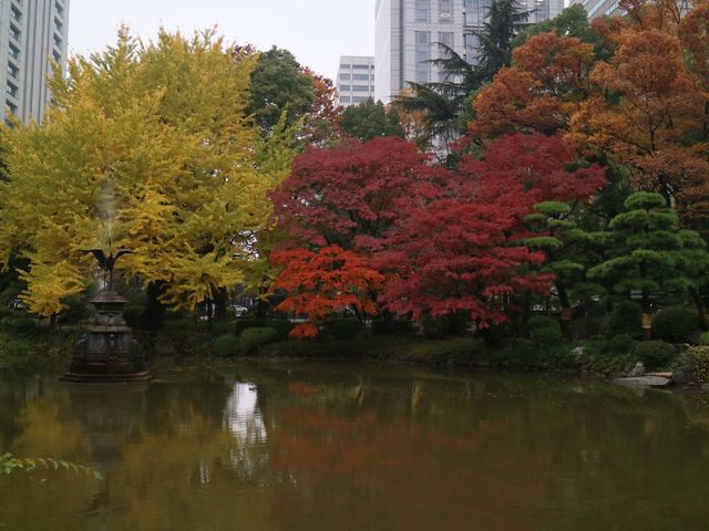 秋意盎然的都心秘境日比谷公園