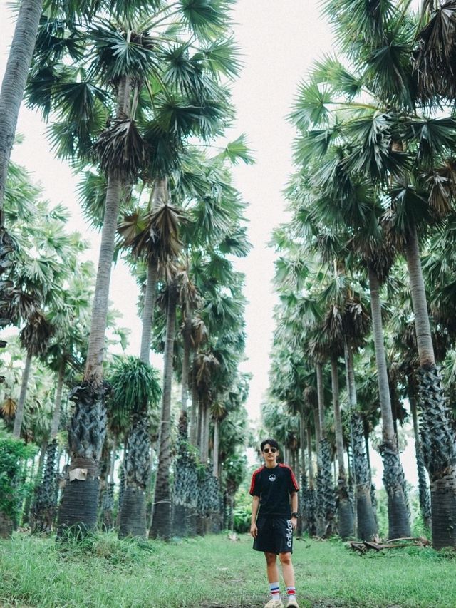 สวนตาลลุงถนอม