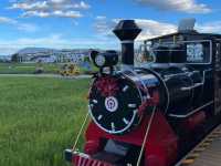🌻✨ Xizhou Fields: A Day of Unexpected Beauty and Breezy Rides