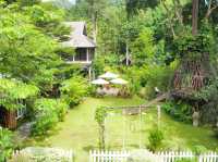 พราวภูฟ้า แม่ริม | สายเขียว ชุ่มฉ่ำ