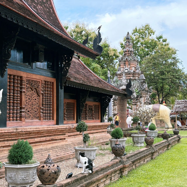 Chiang Mai 3 Days Itinerary