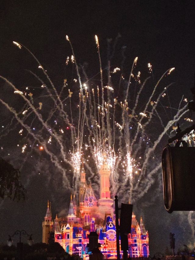 Step Inside the Fairytale: The Ultimate Princess Castle Awaits