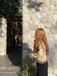 The Baristro Asian Style คาเฟ่เชียงใหม่