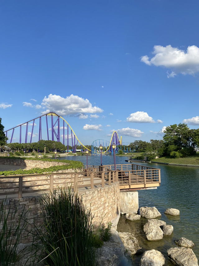 🌊🐬 SeaWorld San Antonio สนุก ครบ จบที่เดียว