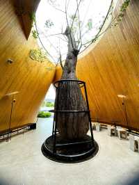 Harudot Chonburi by Nana Coffee Roasters