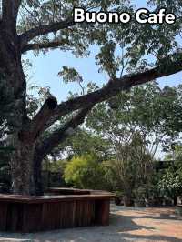 Buono Cafe คาเฟ่ในสวน ชลบุรี