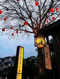 Kuanzhai Alley – Chengdu’s Living Memory Lane