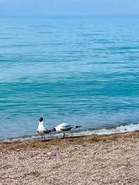 The Sacred Blue: Qinghai Lake and the Soul of the Plateau