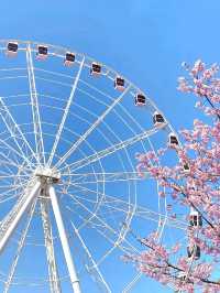 Spring waltz into Gucun Park