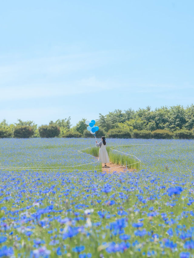 (실시간) 파란 물결 시작된 아그로랜드🌿💙