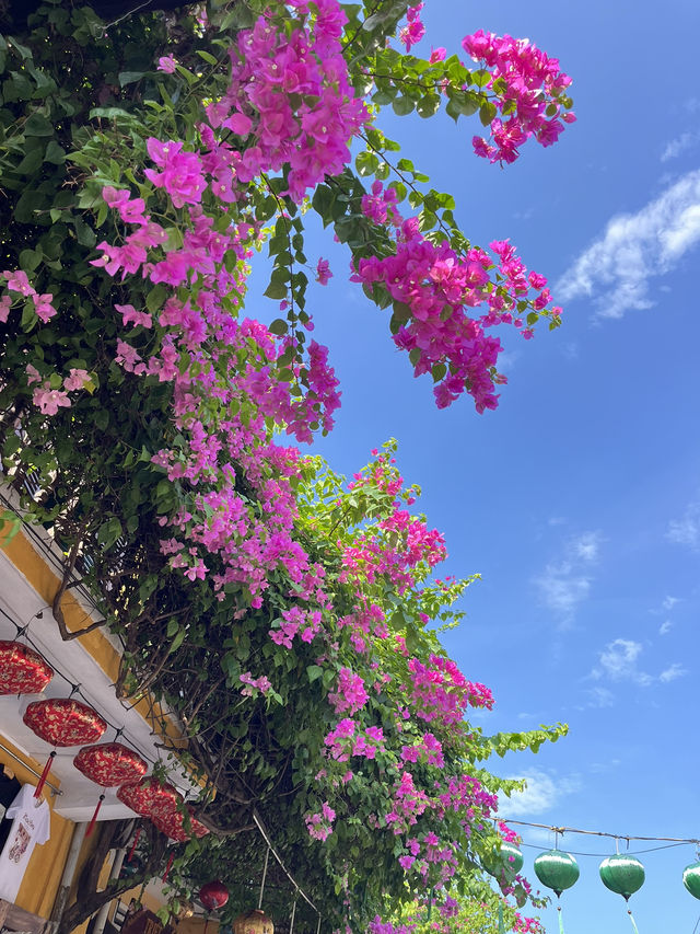 Hội An—A historical and cultural tour🇻🇳🏮