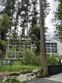 📘旅人手札｜跟著螢火蟲走進森林的祕密世界：溪頭福華漢光樓之旅
