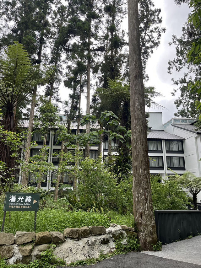 📘旅人手札｜跟著螢火蟲走進森林的祕密世界：溪頭福華漢光樓之旅