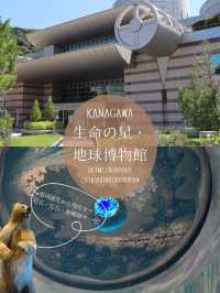 夏休みにもぴったり！また行きたくなる国内博物館🌟