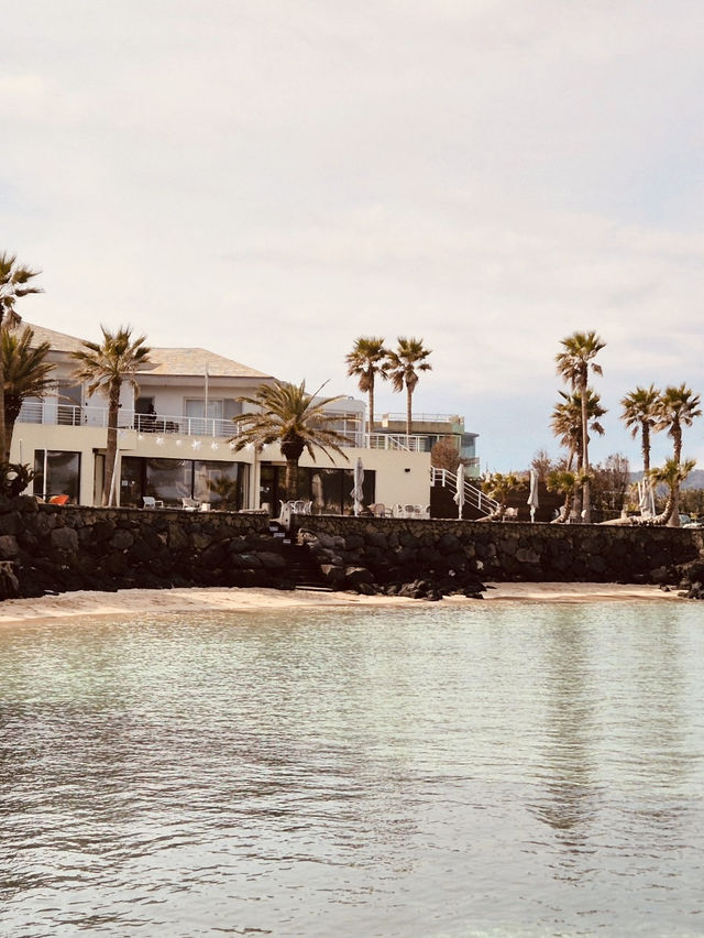 Afternoon Strolls and Serene Vistas