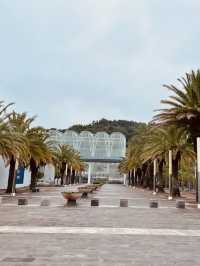 Loggerhead Nesting Ground with Local Flavor