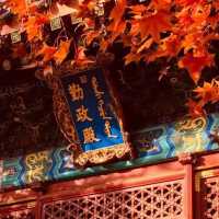 🍂 “Where the Red Leaves Whisper: An Autumn Stroll Through Xiangshan Park”