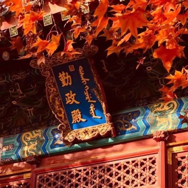 🍂 “Where the Red Leaves Whisper: An Autumn Stroll Through Xiangshan Park”
