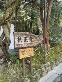 🇯🇵 Giōji Temple