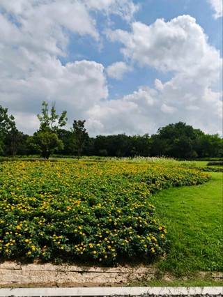 夏日良渚考古遺址公園:一片無盡的曠野