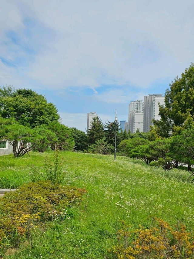수원 압도적인곳 수원 압도적인곳