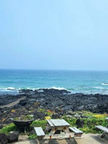3박 4일 제주 표선 – 파도 소리와 함께 걷는 감성 힐링  3박 4일 제주 표선 – 파도 소리와 함께 걷는 감성 힐링