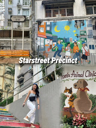 🇭🇰 星街小區
